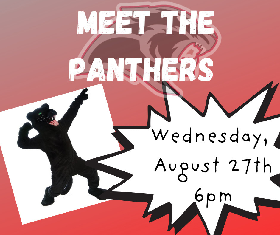 Meet the Panthers