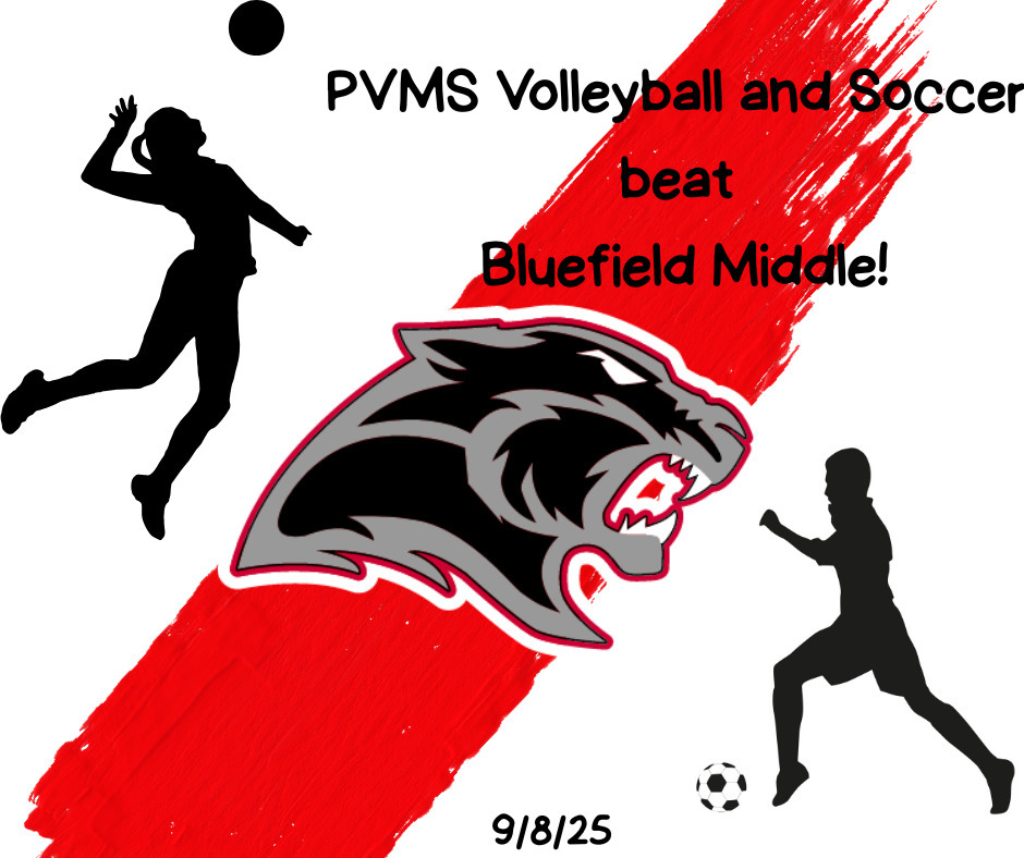 volleyball and soccer 