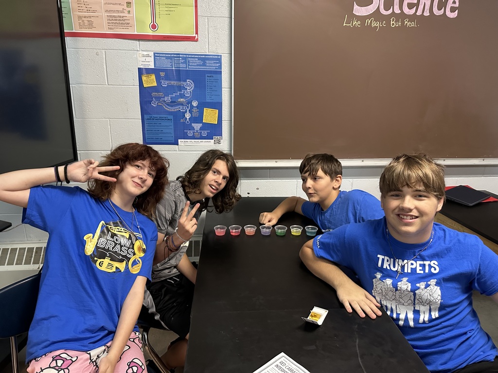 PSHS students conducting a science experiment on acids and bases