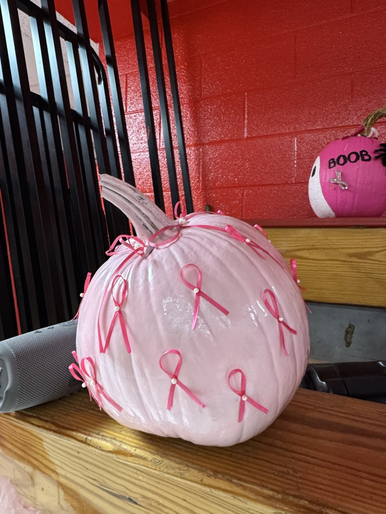 pumpkin with several small pink ribbons