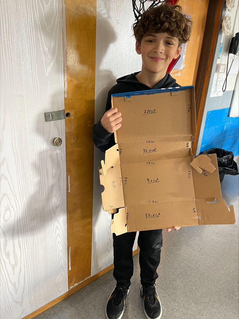 3D Surface Area Pics