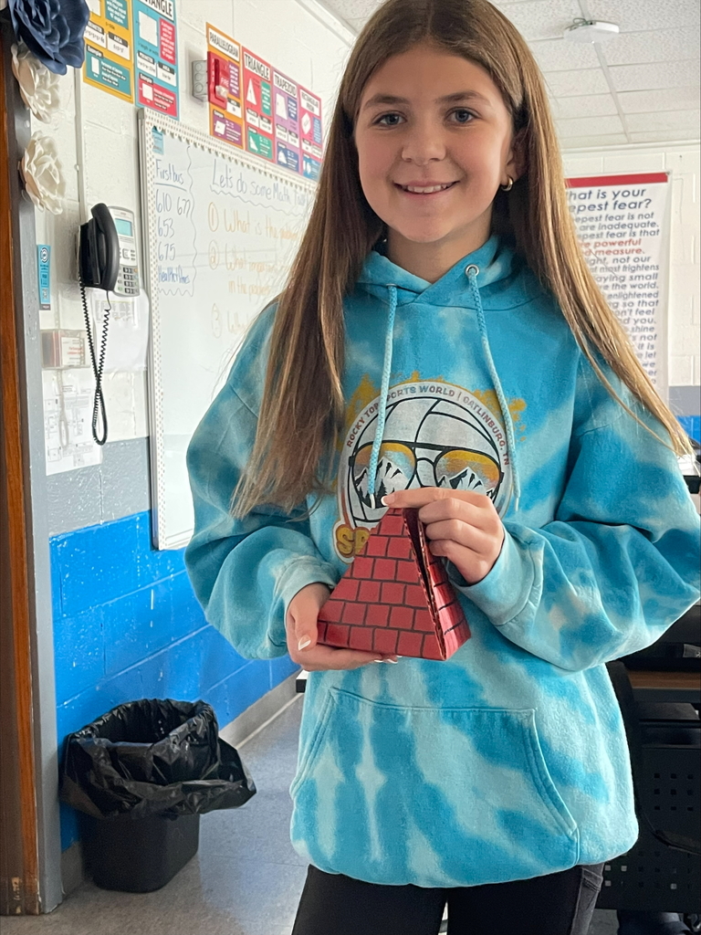 3D Surface Area Pics
