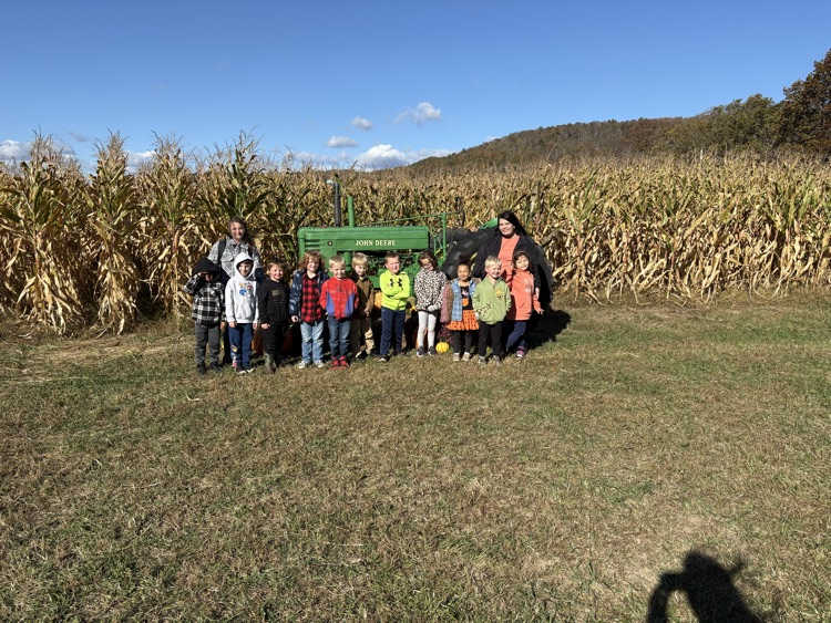 Pumpkin patch