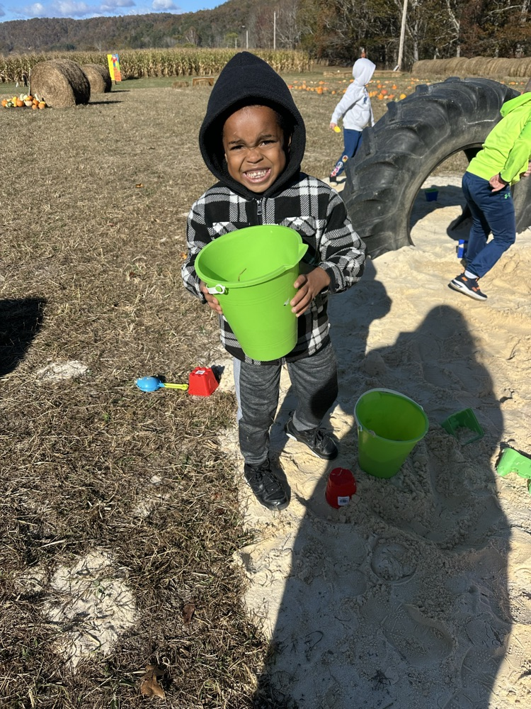 Pumpkin patch