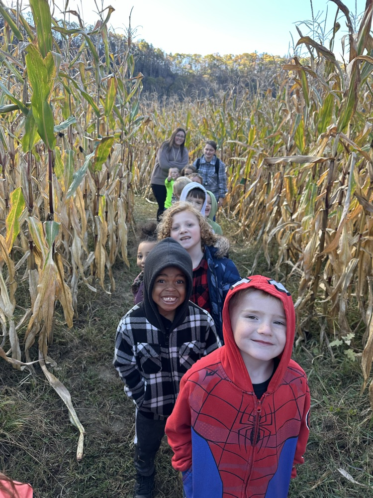 Pumpkin Patch