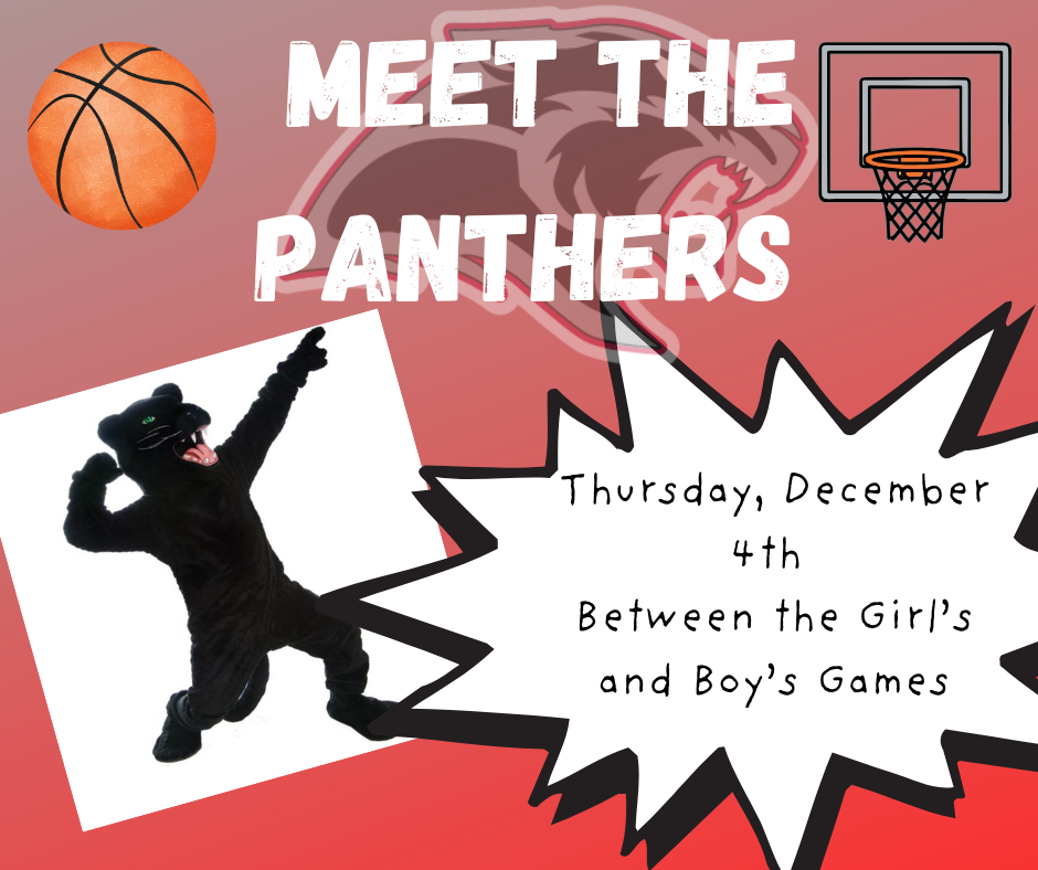 Meet the Panthers