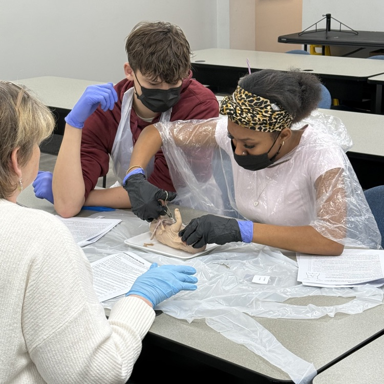 STEM Lesson with Anna Lilly and Byron Hope 
