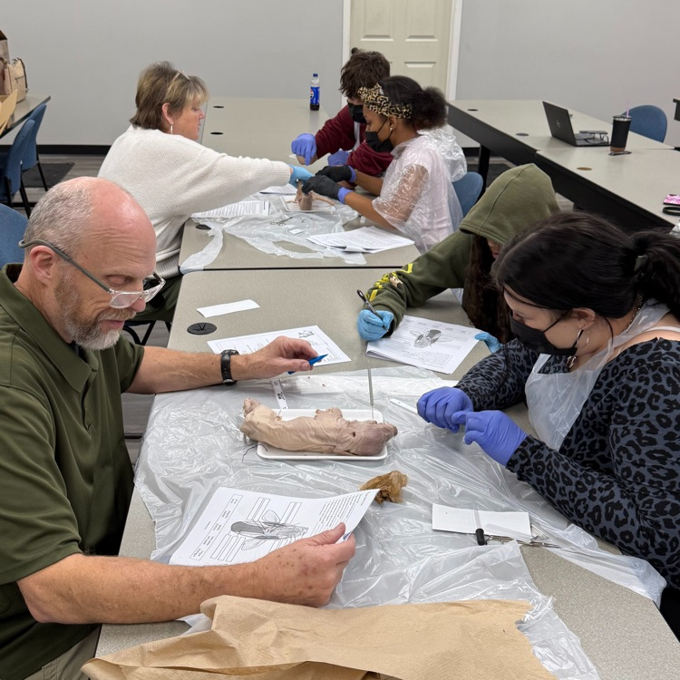 STEM Lesson with Anna Lilly and Byron Hope 