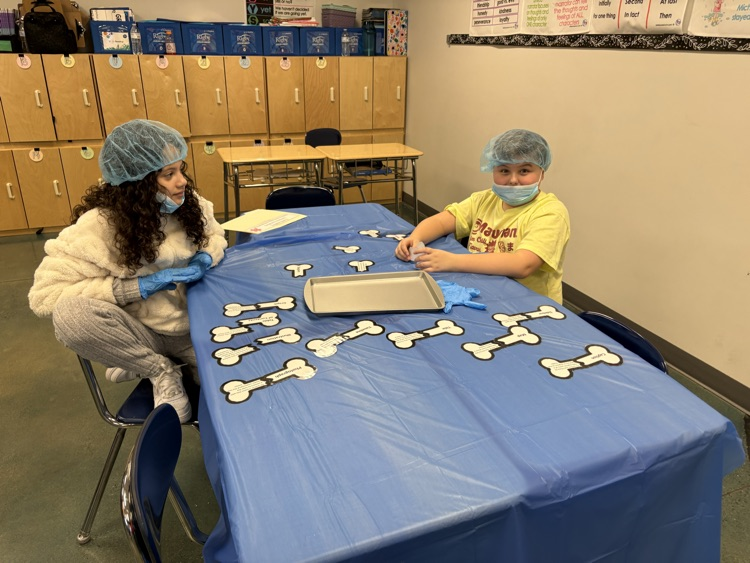 Fourth grade “scrubbed in” today to practice identifying and applying their knowledge of text features! 