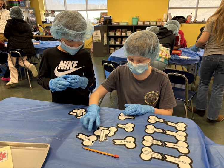 Fourth grade “scrubbed in” today to practice identifying and applying their knowledge of text features! 