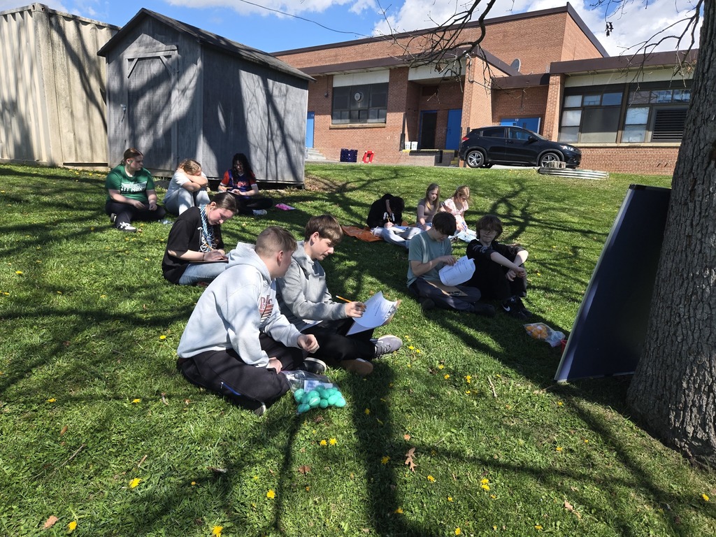 Students sitting in grass