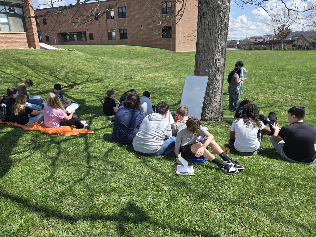 Students sitting in grass