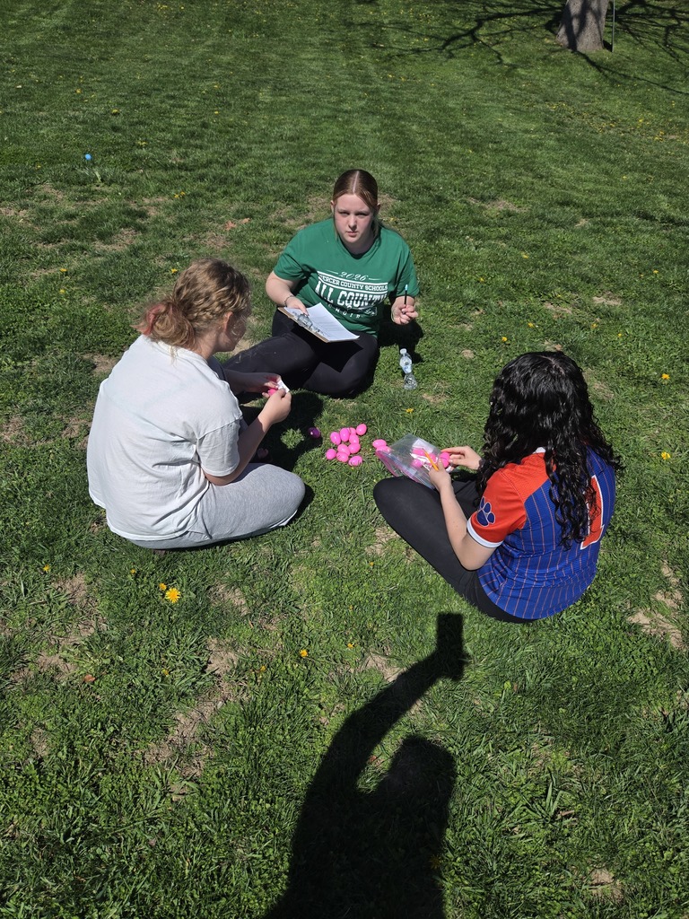 Students sitting in grass