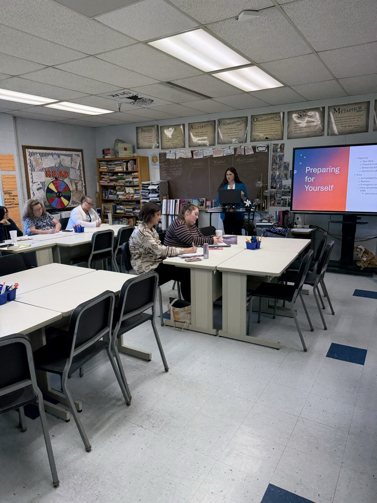 The Network training where teachers train other teachers