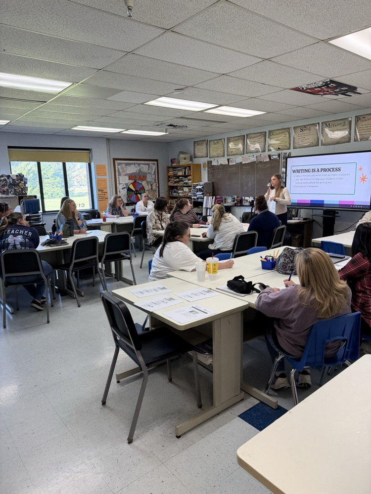 The Network training where teachers train other teachers
