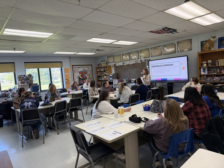 The Network training where teachers train other teachers