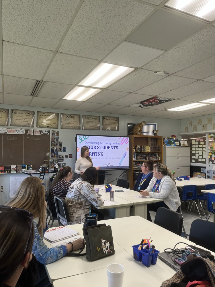 The Network training where teachers train other teachers