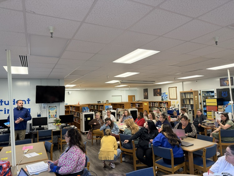 The Network training where teachers train other teachers