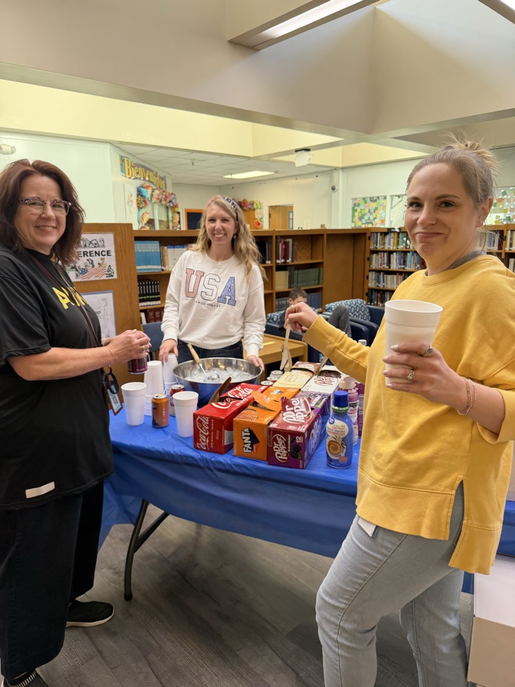 The Network training where teachers train other teachers