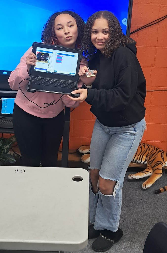 Microbit / Block Coding