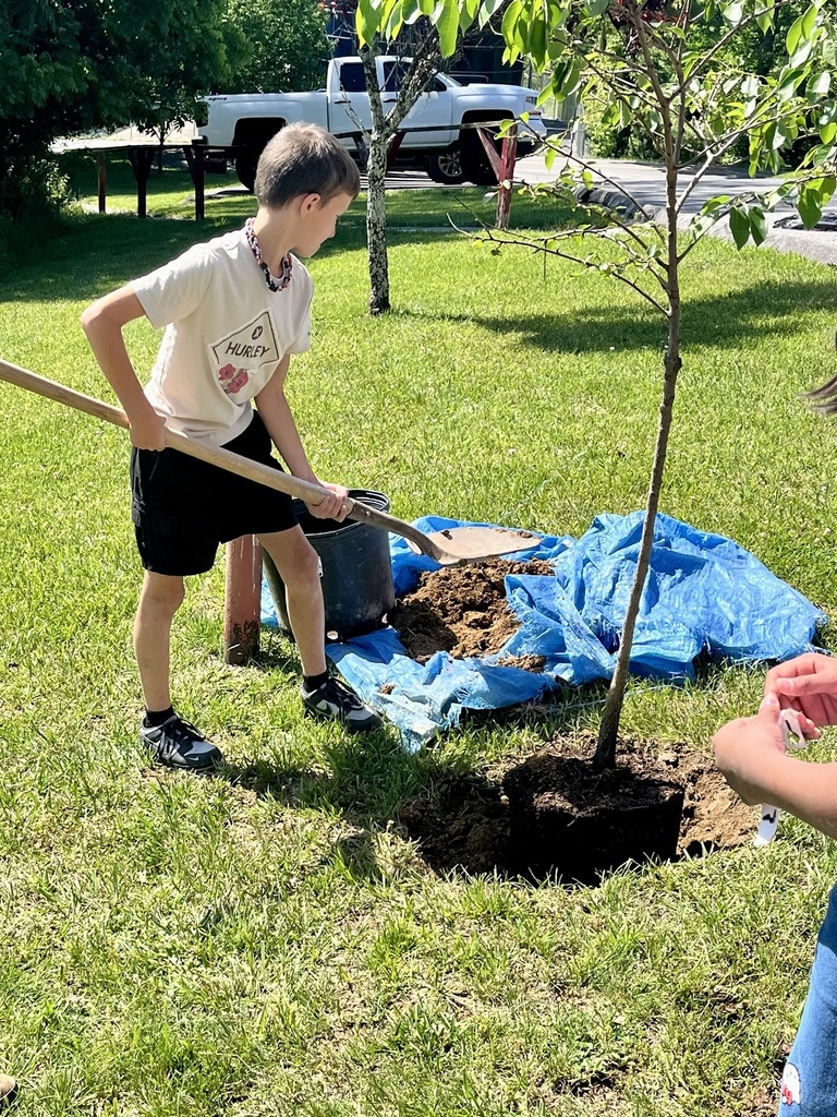 A Glenwood student planting a tree on the school grounds.