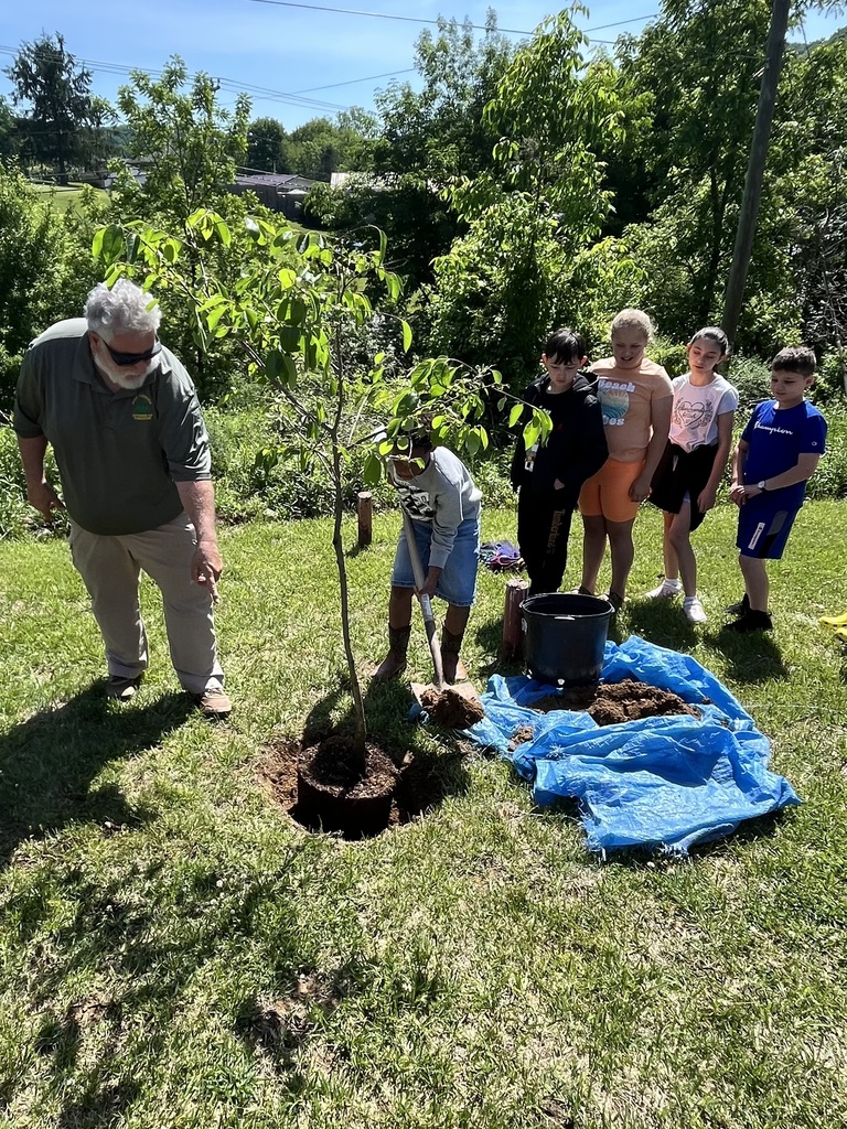 Mr. Sheets and students around the tree they planted.