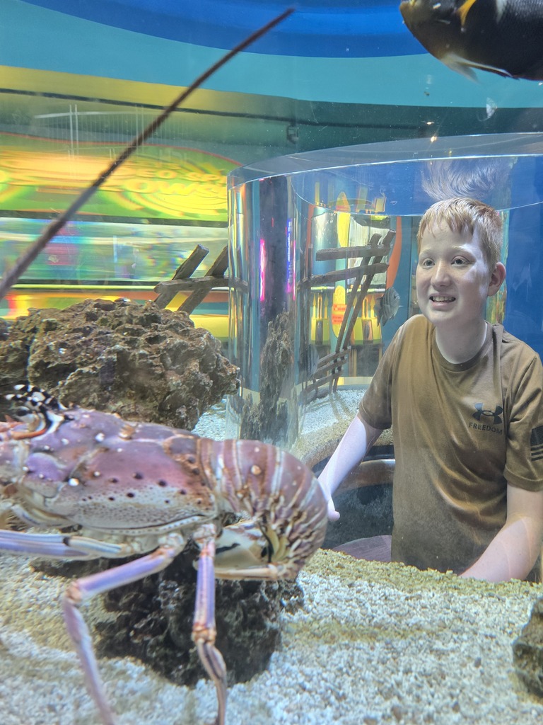 Aquarium with large lobster. Person in front of it wearing a brown shirt. Background has colorful lights.
