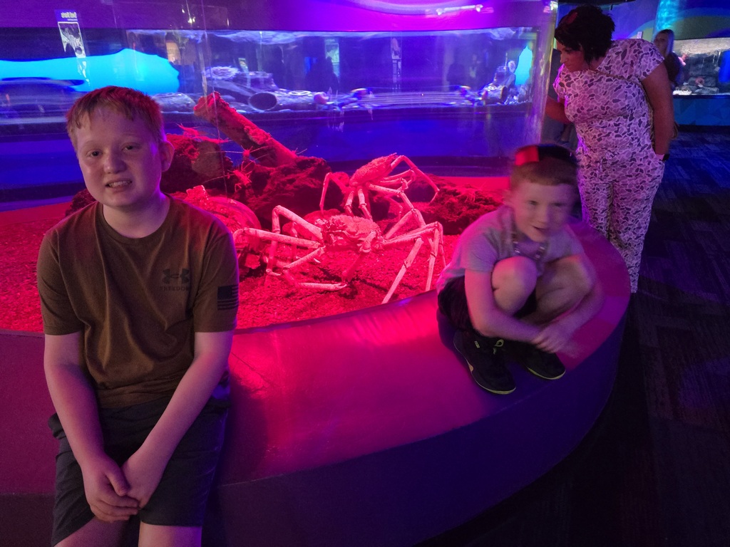 Two boys sit near a curved red exhibit, with an illuminated spider display behind them. A woman in a dress stands behind them.