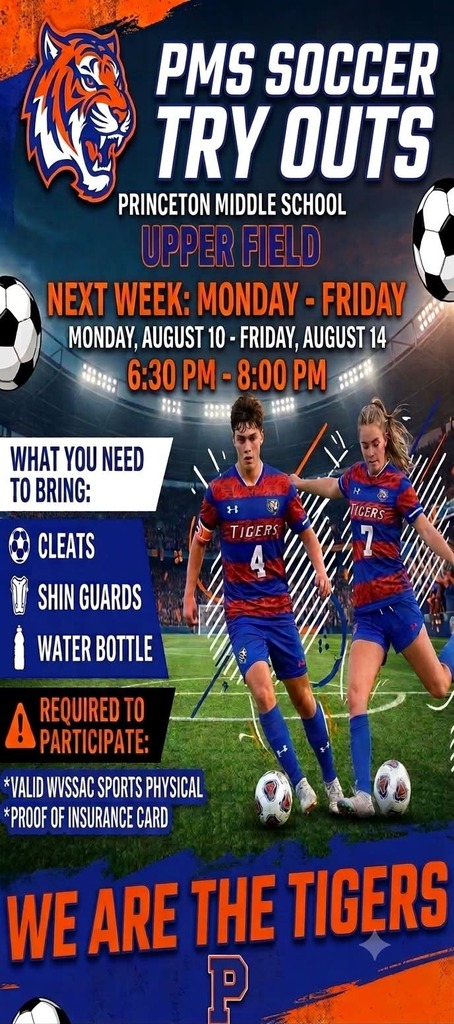 soccer flyer