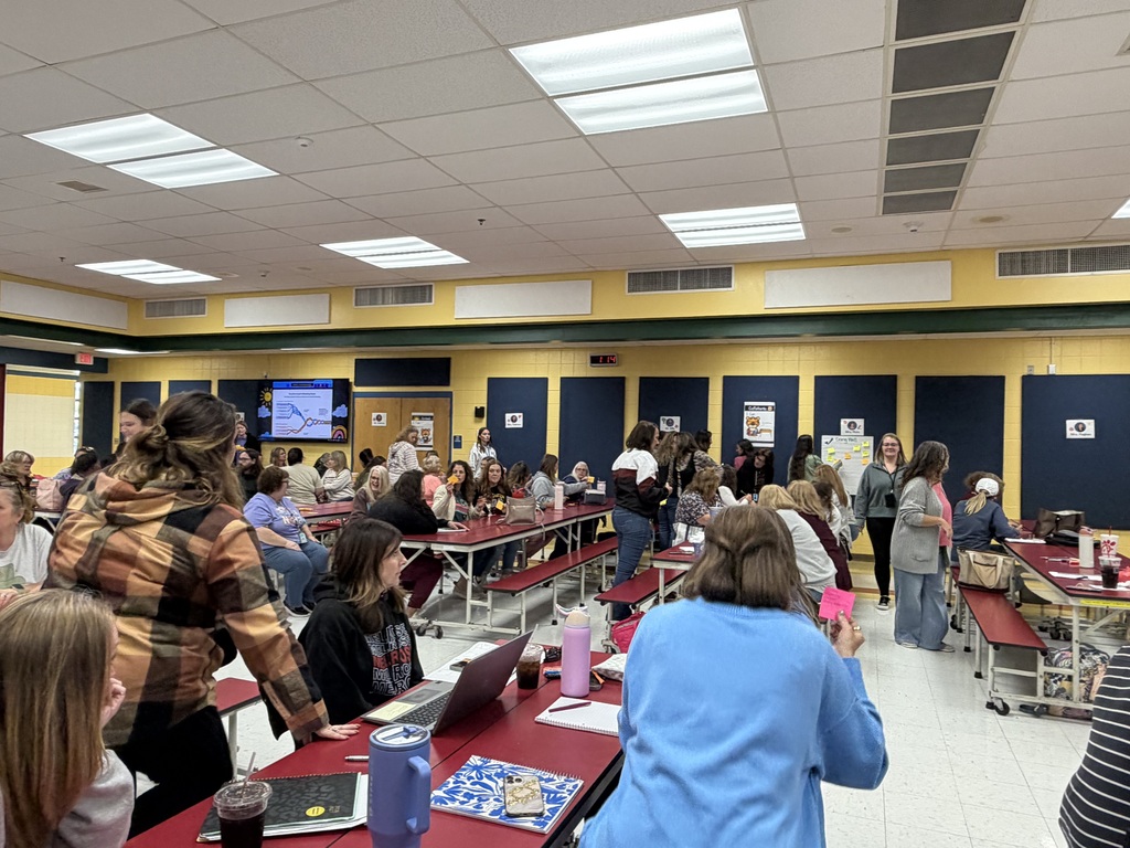 K/1 and ECCAT Professional Development at Princeton Primary School - teachers at tables collaborating