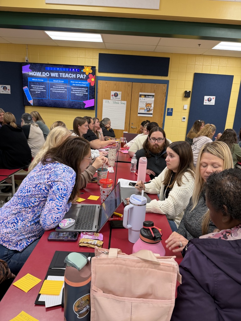 K/1 and ECCAT Professional Development at Princeton Primary School - teachers at tables collaborating