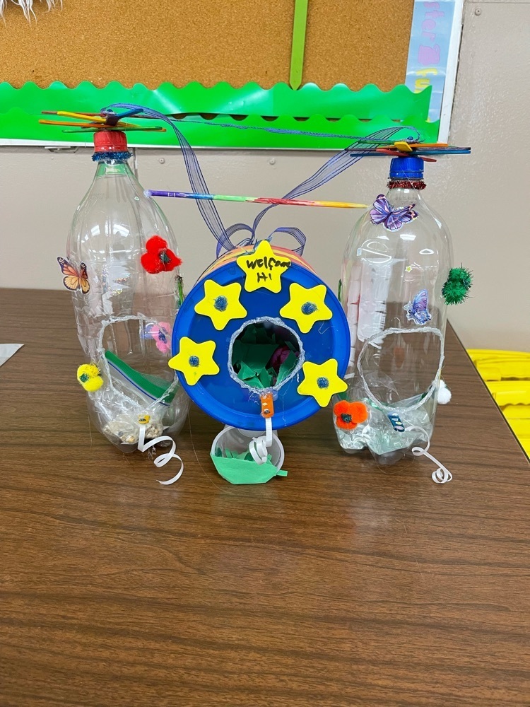 Hailee’s Bird Home