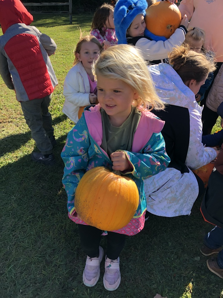 pumpkins