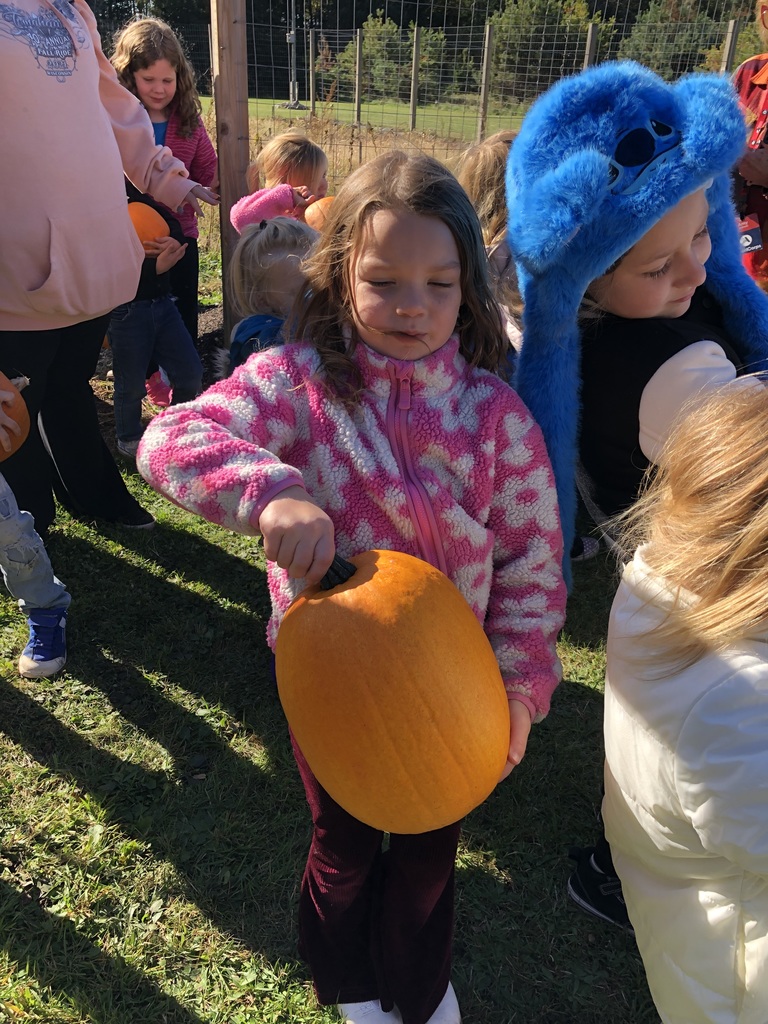 pumpkins