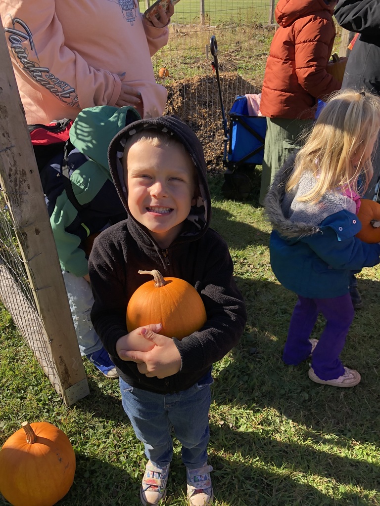 pumpkins