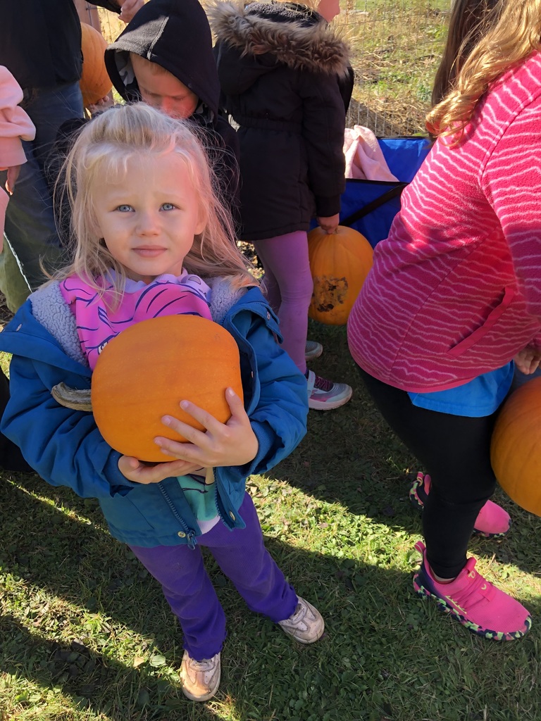 pumpkins