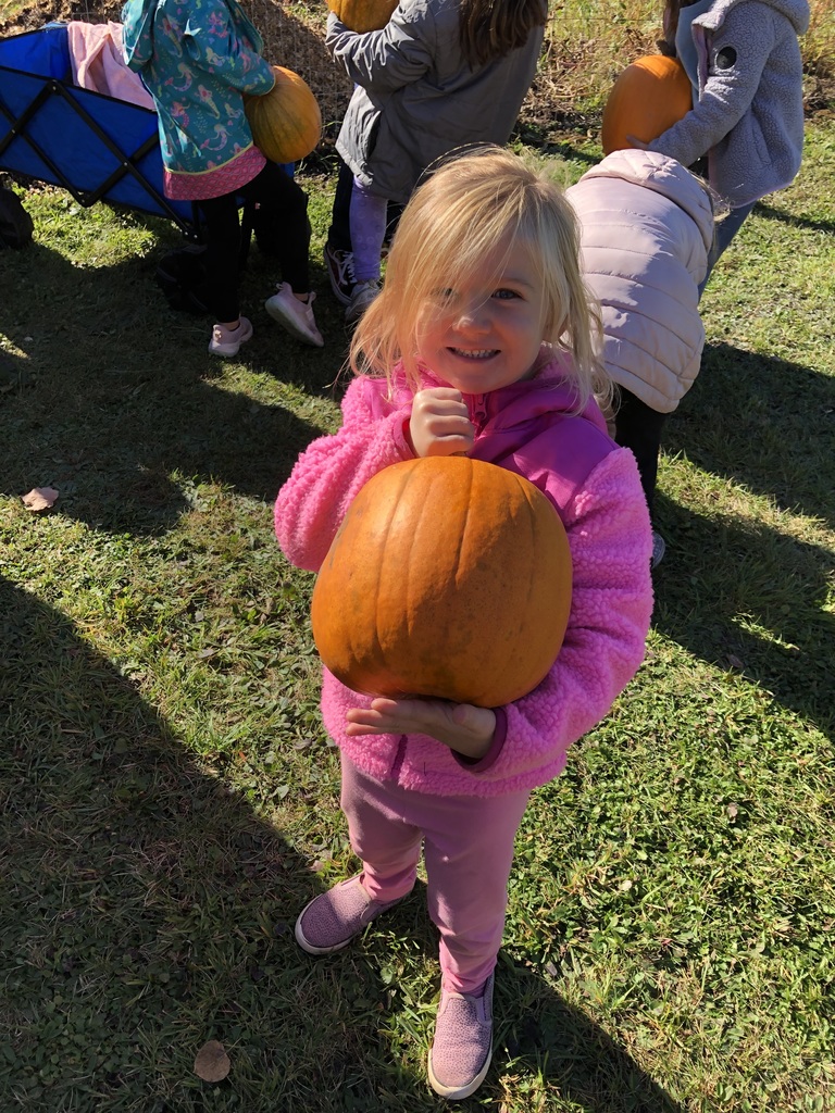 pumpkins