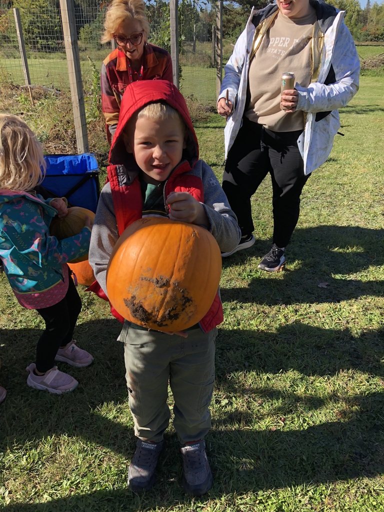 pumpkins