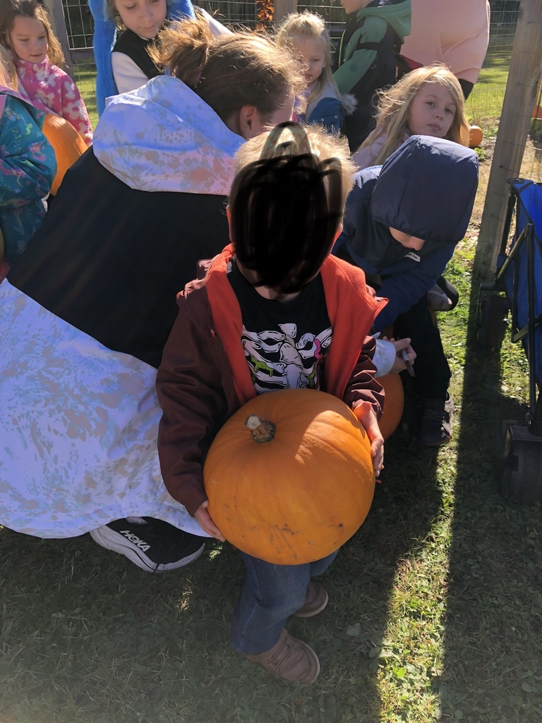 pumpkins