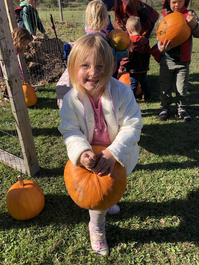 pumpkins