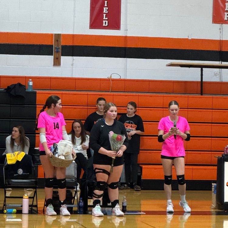 3 volleyball players middle one in black shirt and shorts girls on right and left in pink shirts