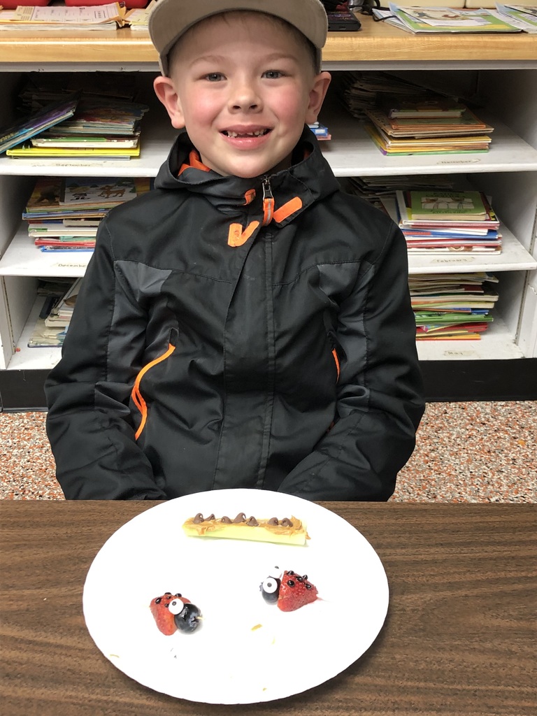 Ants and ladybugs