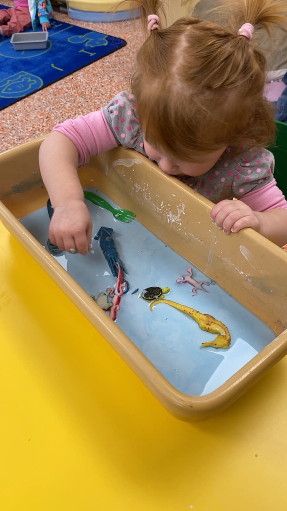 sensory bin