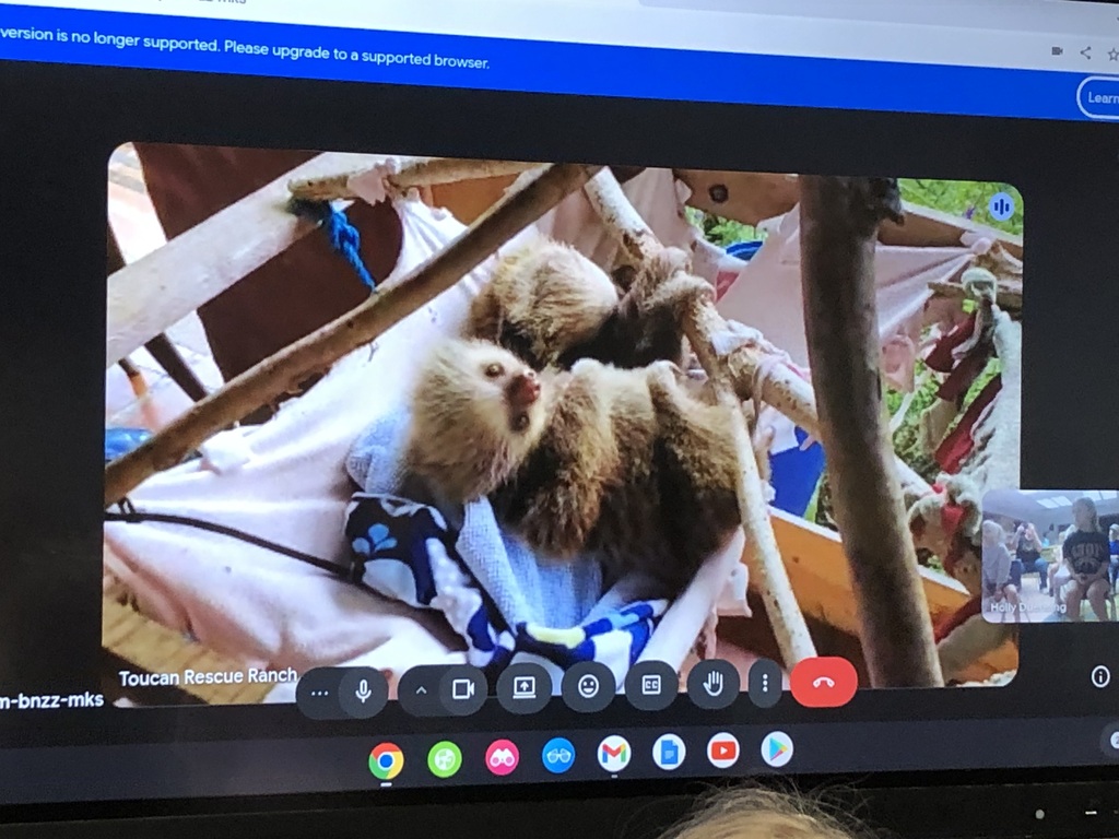 Virtual zoo