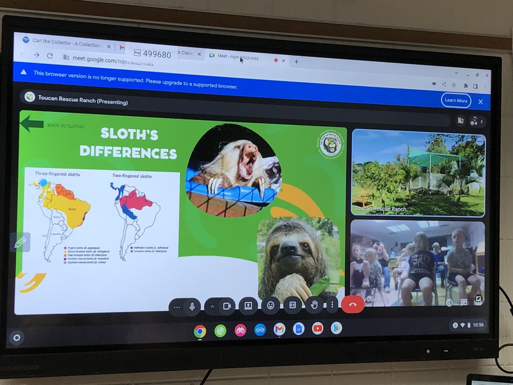 Virtual zoo