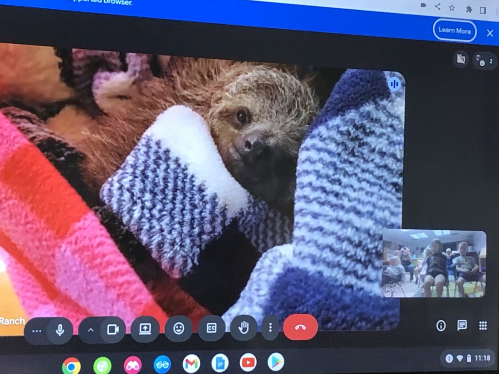 Virtual zoo