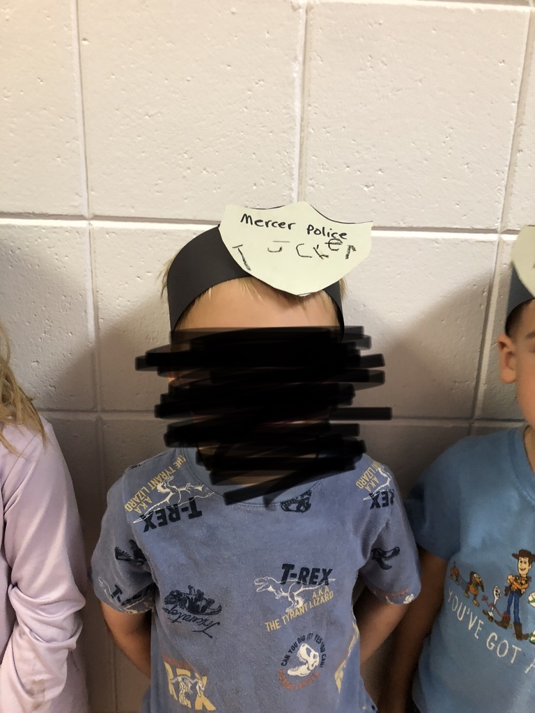 Police Hat