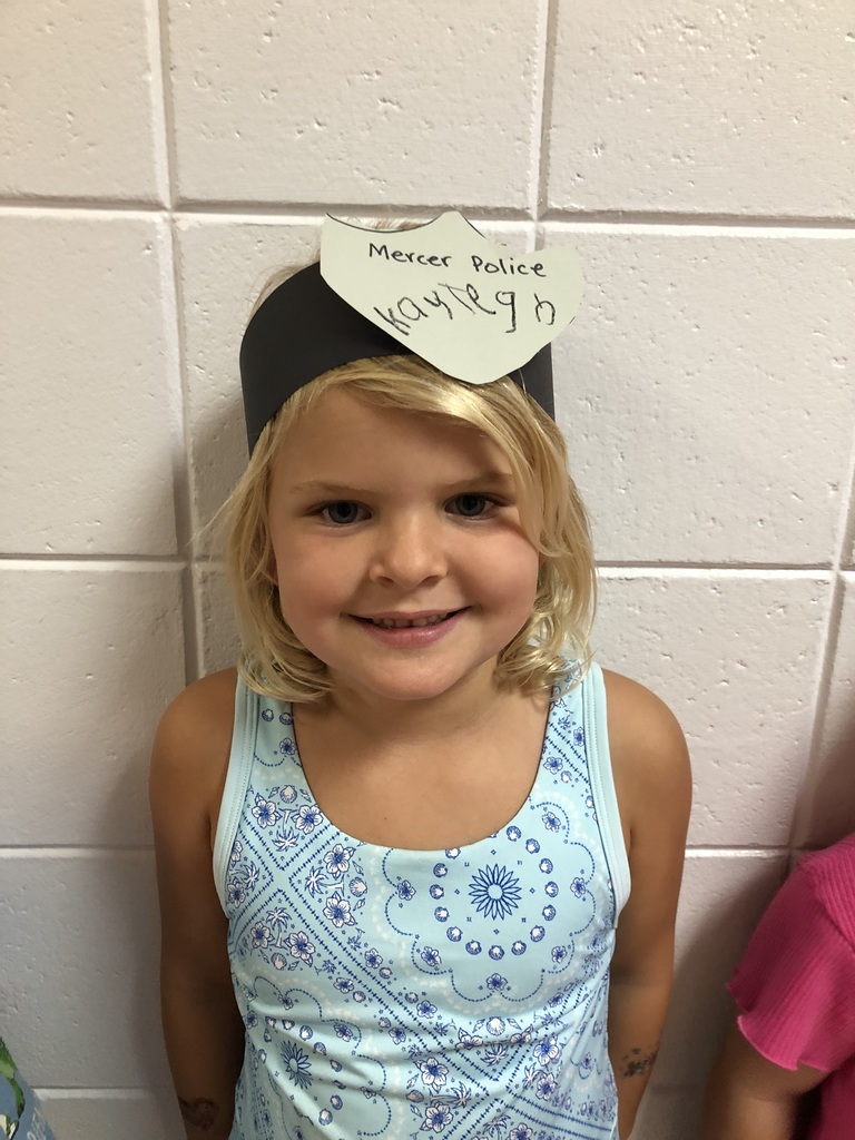 Police Hat