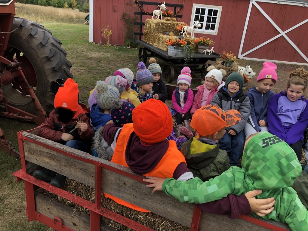 Pumpkin Patch