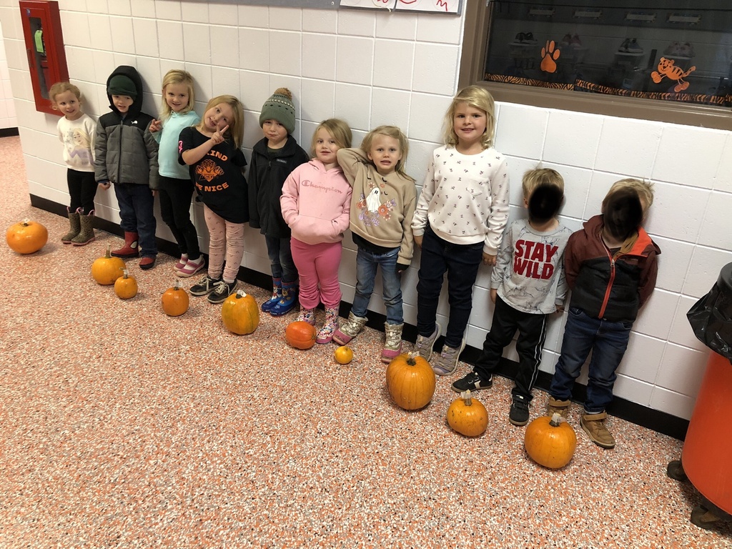 Pumpkin Patch